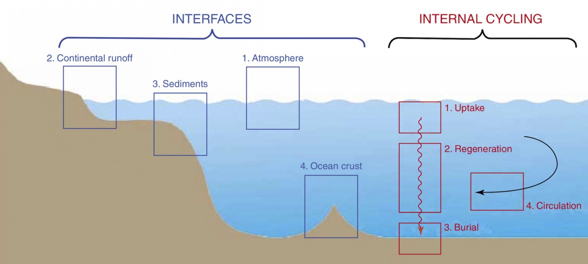 Diagram illustrating the major influences on the distribution of Trace Elements and Isotopes (TEIs) in the ocean.