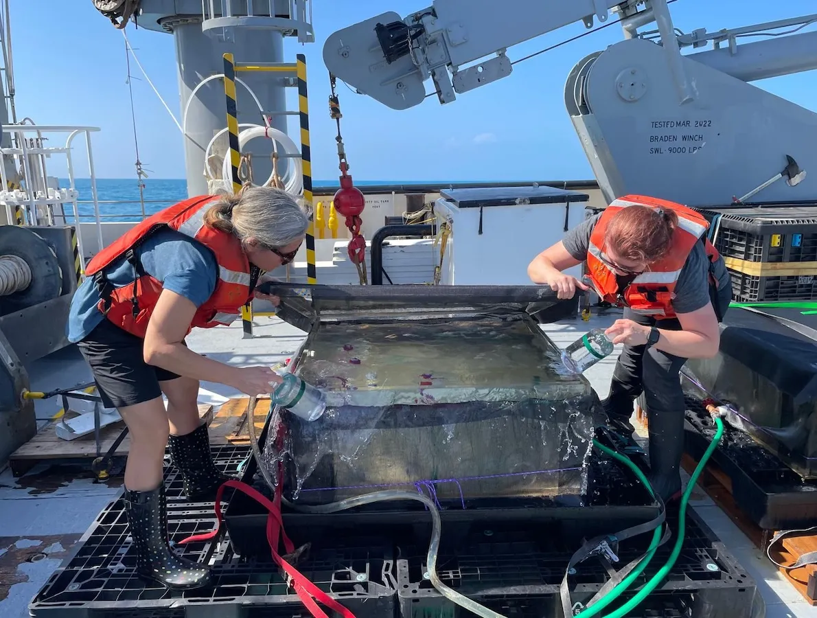 PIs Angie Knapp (TAMU) and Dreux Chappell (USF) retrieve ¹⁵N₂ fixation incubation bottles on the Feb/Mar 2023 STING cruise.