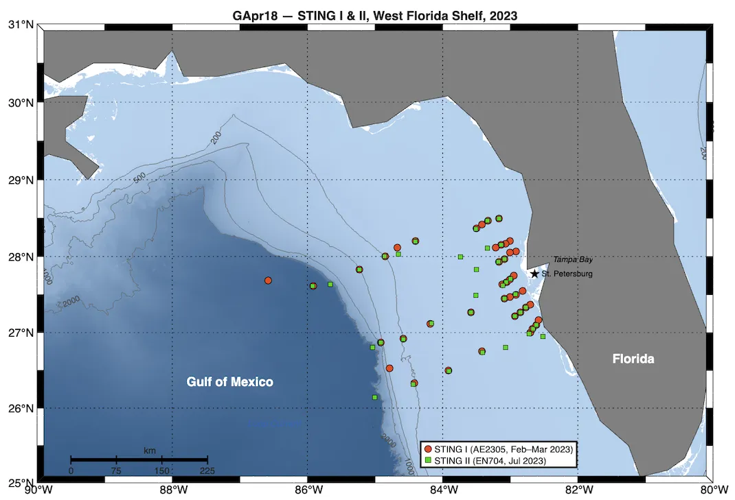 GApr18 (STING) sampling stations on the West Florida Shelf. Circles: STING I (AE2305, February–March 2023); squares: STING II (EN704, July 2023). MARP = Mississippi-Atchafalaya River Plume; ★ = St. Petersburg, FL (port of departure).