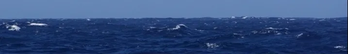 U.S. GEOTRACES logo - Southern Ocean 